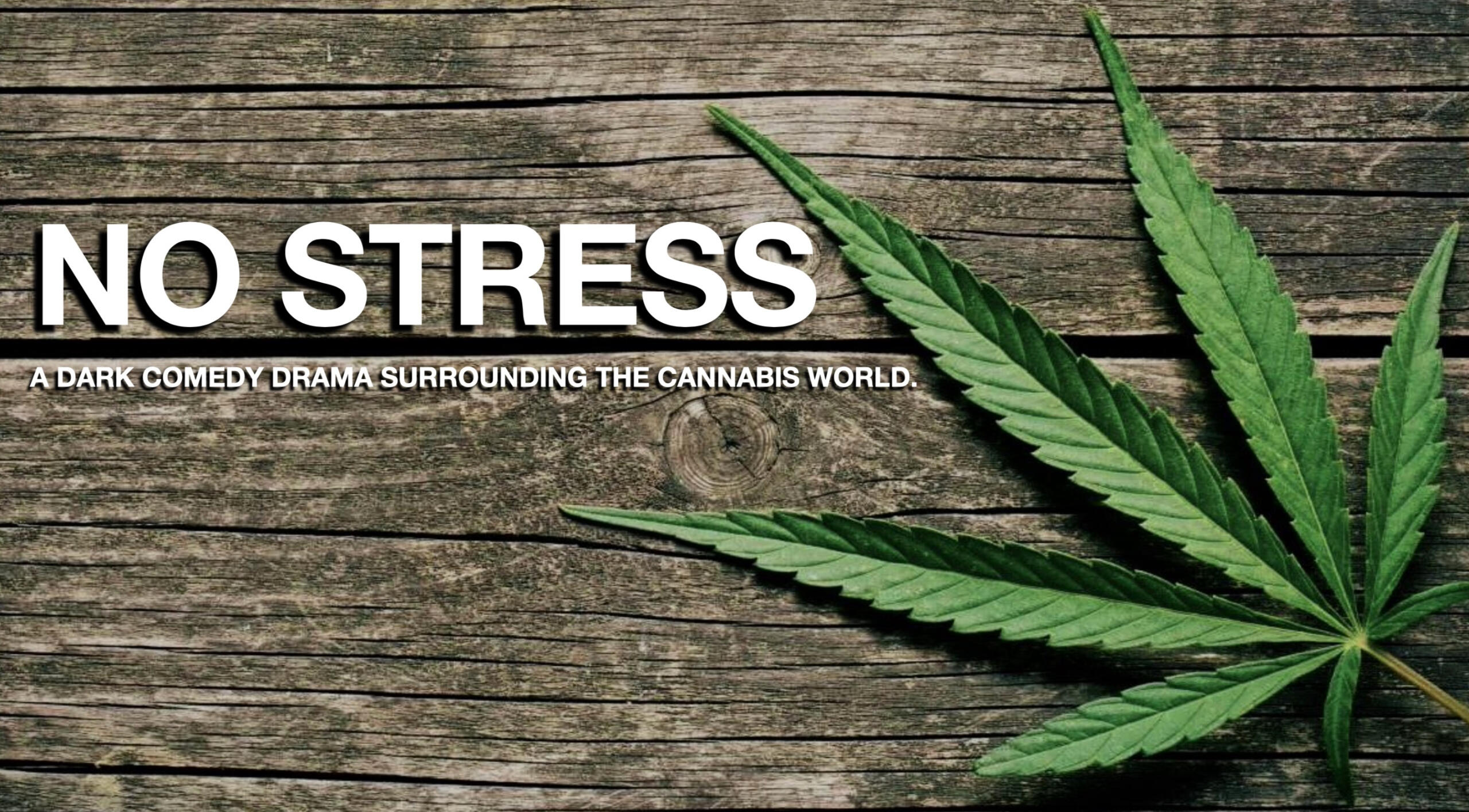NO STRESS Presentation Slide 1